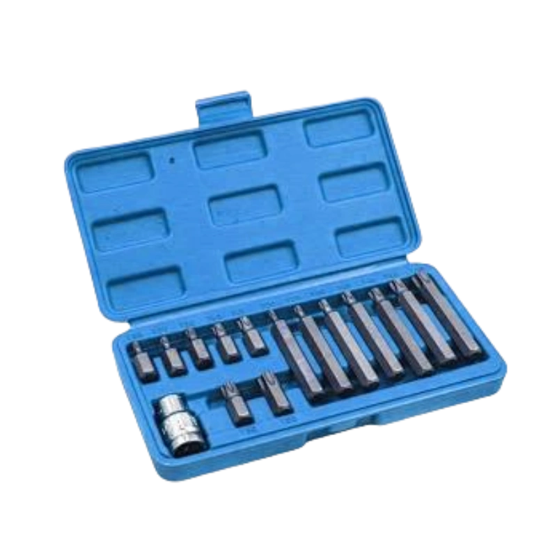 15-teiliges CR-V-Sechskant-Schraubendreherbit-Set (blasgeformtes Gehäuse)